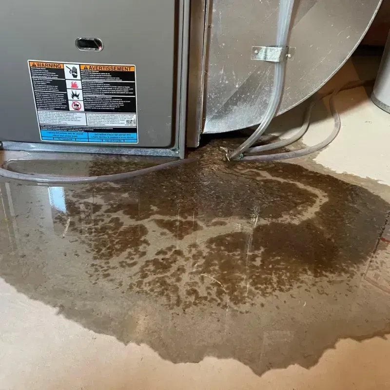 Appliance Leak Cleanup in Genoa, OH